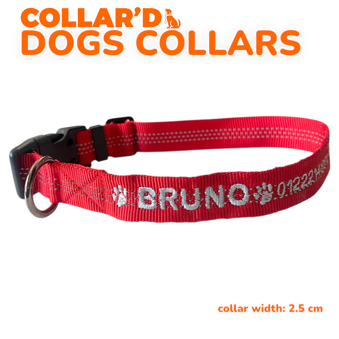 Reflective Dog Collars - 2.5 cm width