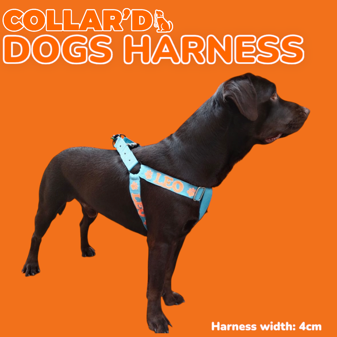 Dog Harness - 4 cm width (Double rings)