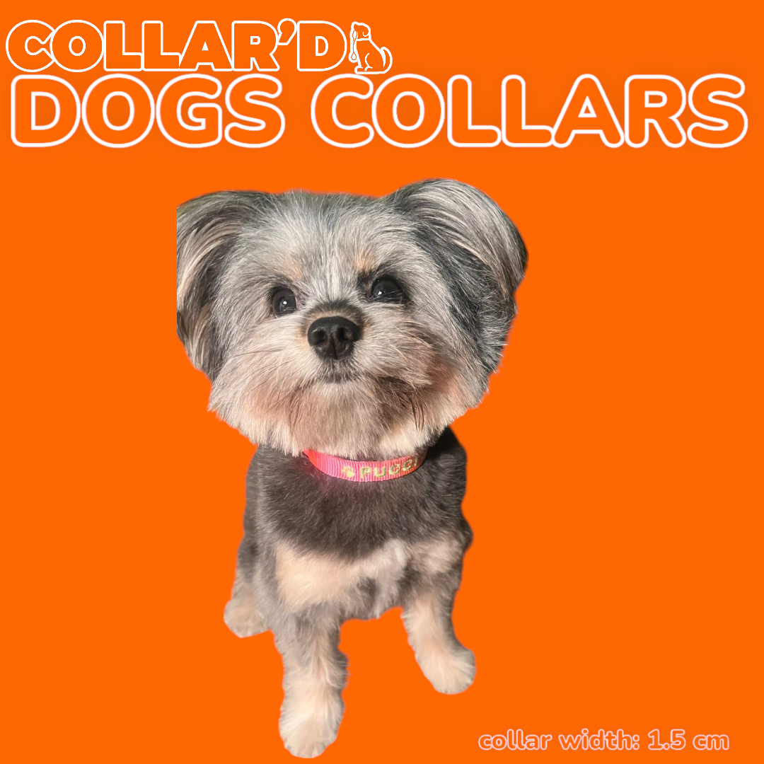 Small Dog Collars - 1.5 cm width
