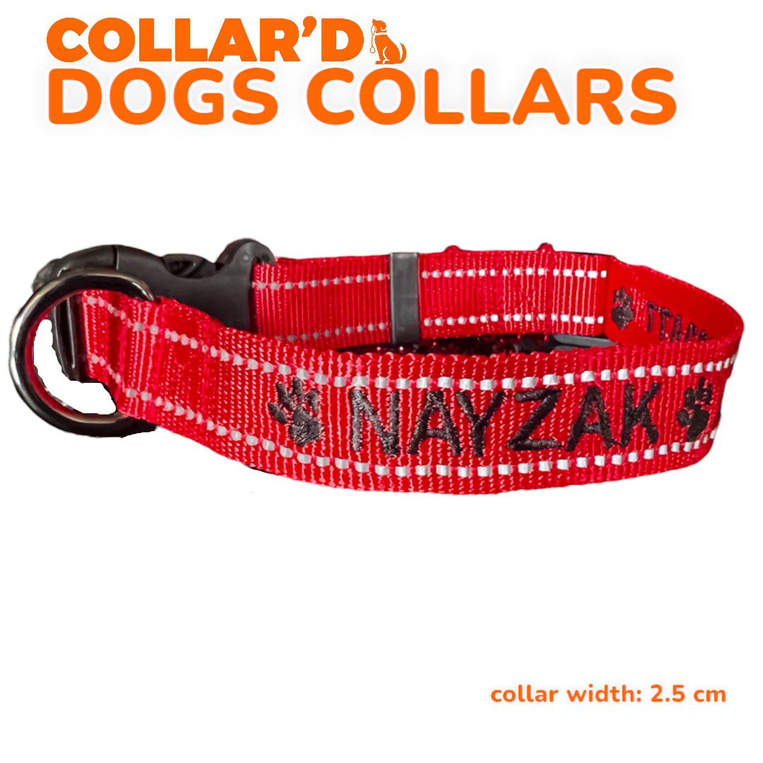 Reflective Dog Collars - 2.5 cm width