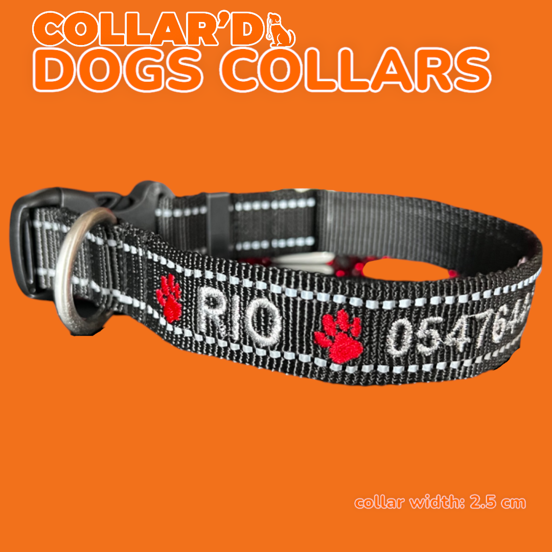 Reflective Dog Collars - 2.5 cm width