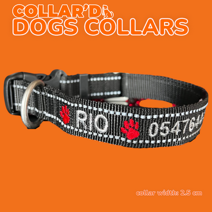 Reflective Dog Collars - 2.5 cm width