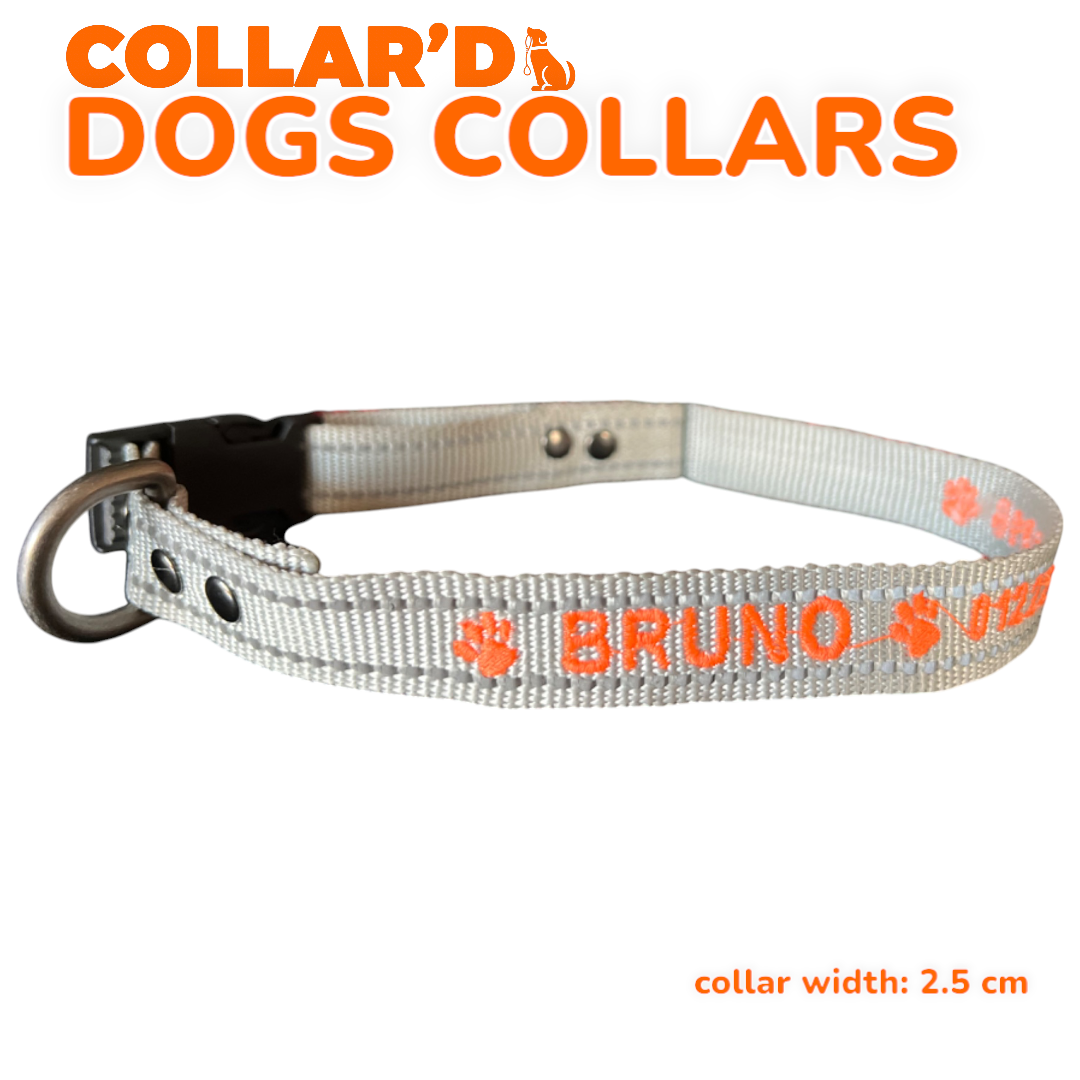 Reflective Dog Collars - 2.5 cm width