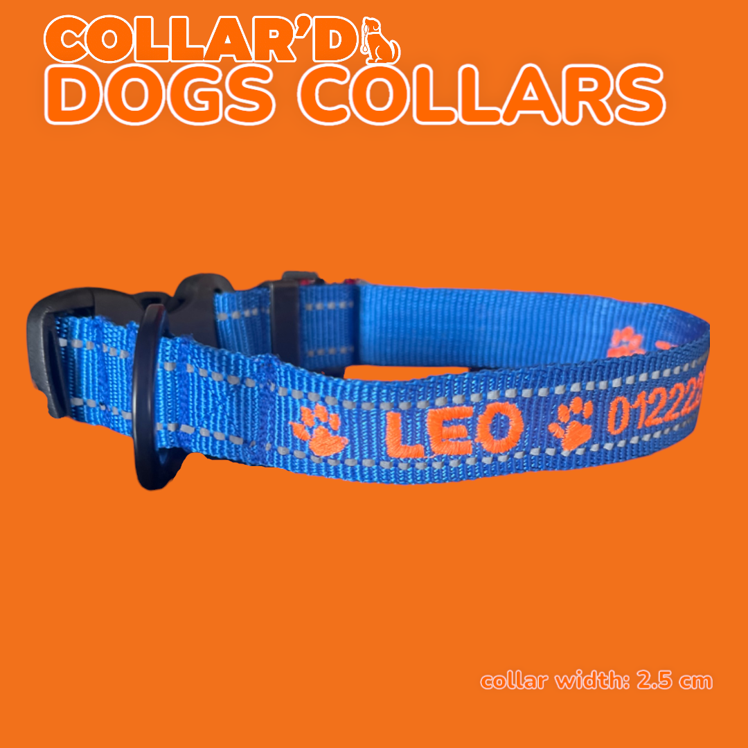 Reflective Dog Collars - 2.5 cm width