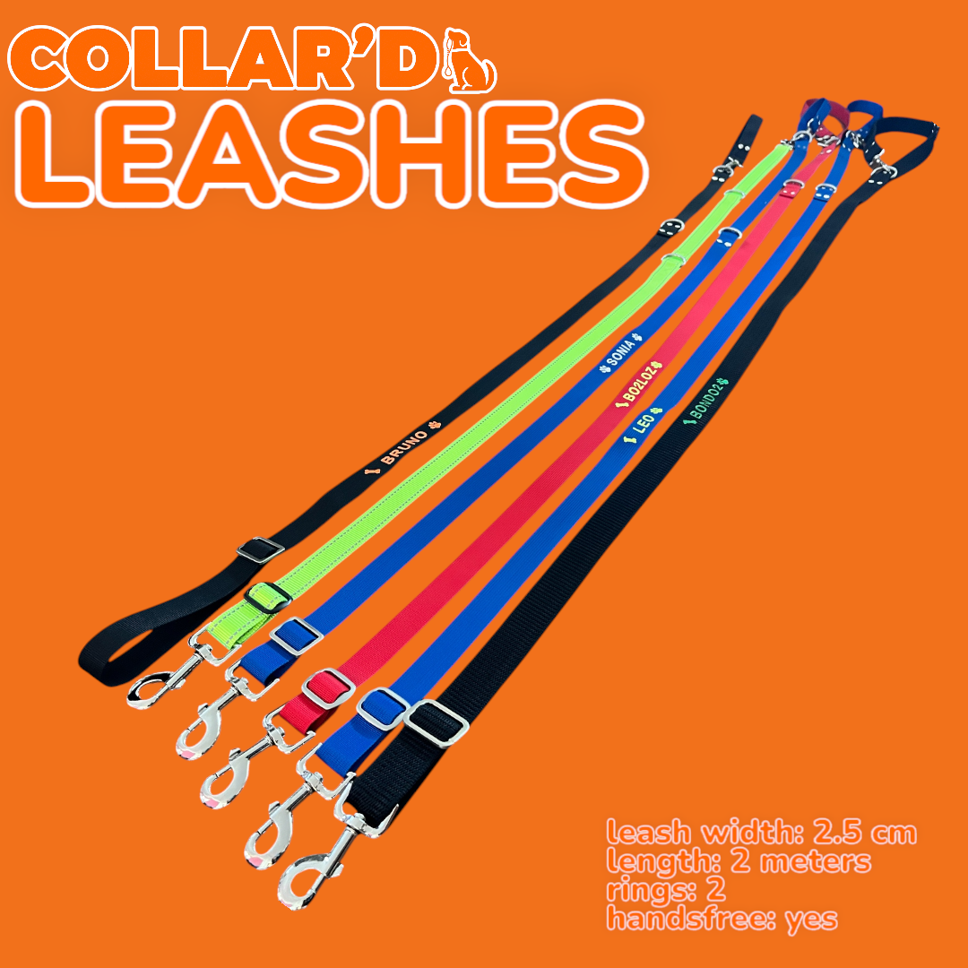 Hands-Free Multifunctional Dog Leash