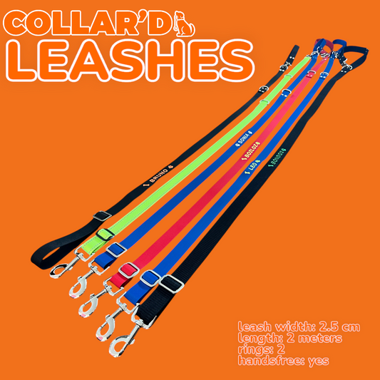 Hands-Free Multifunctional Dog Leash