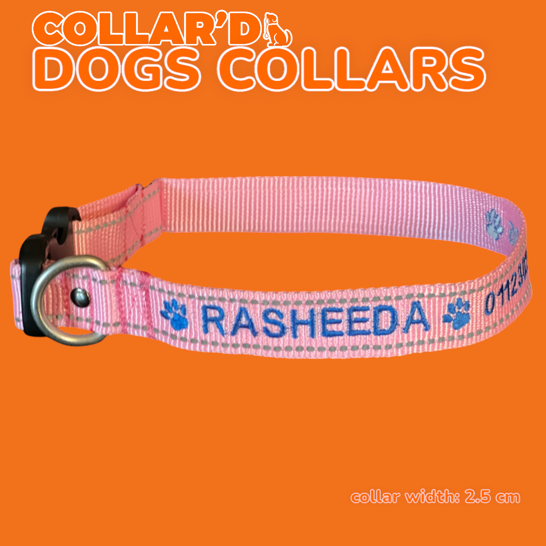 Reflective Dog Collars - 2.5 cm width