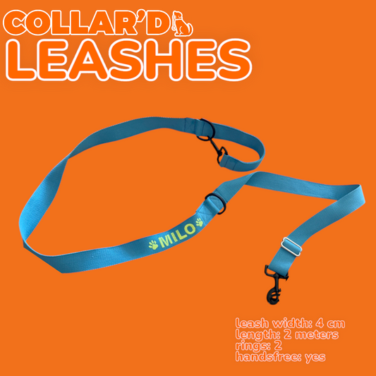 Dog Leash - 4 cm width