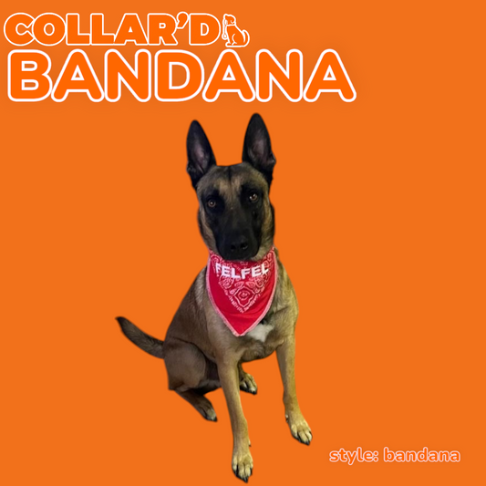 Dog Bandannas