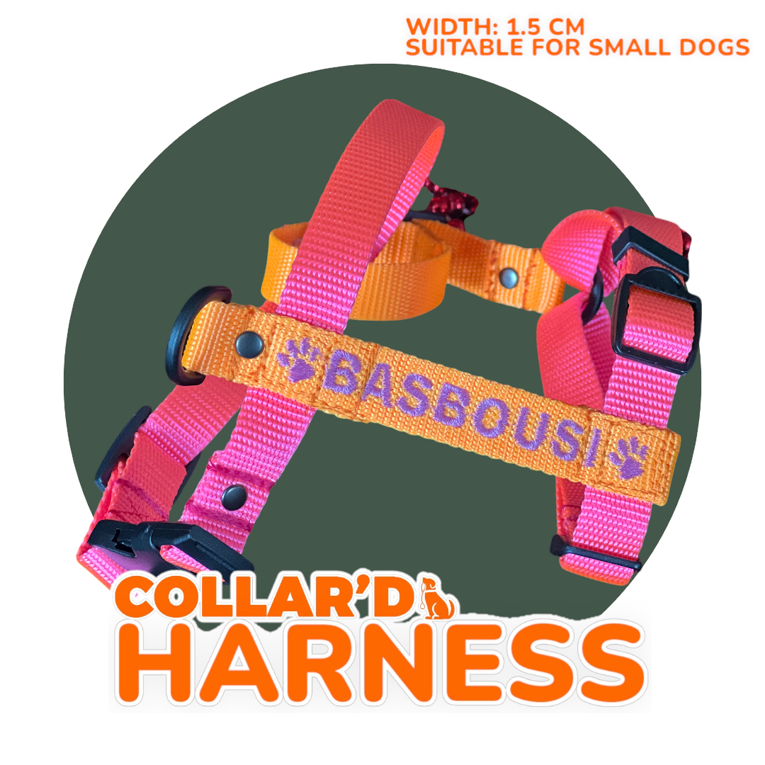 Small Dogs Harness 1.5 cm width (Y-shape)