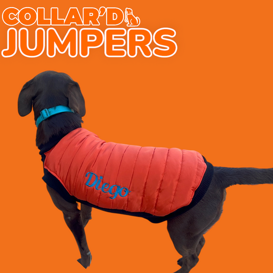 Dog Jumpers