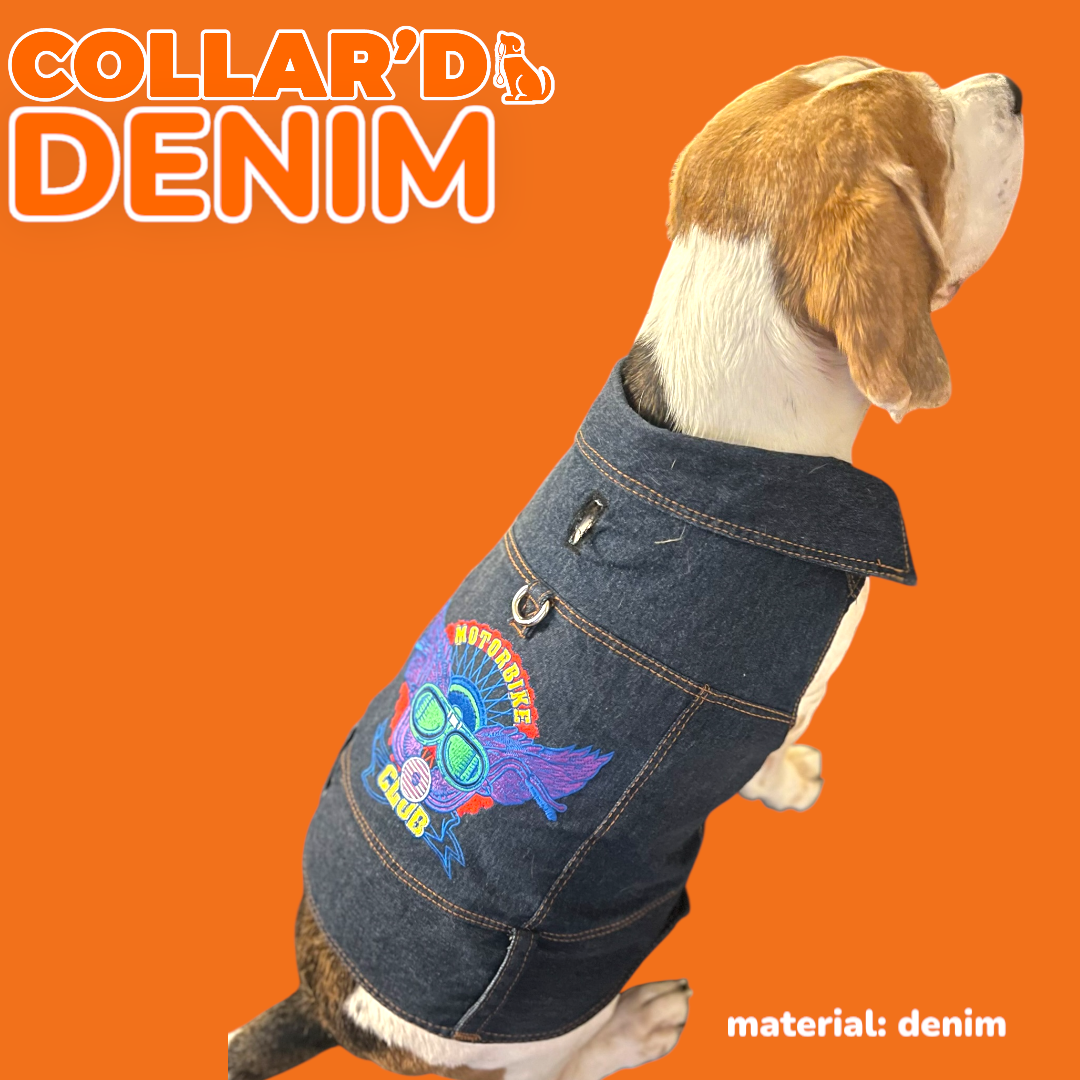 Dog Denim