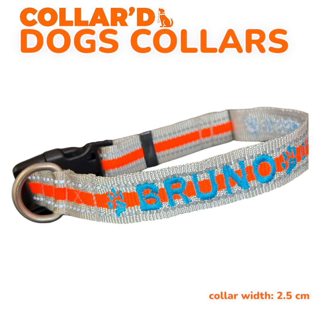 Reflective Dog Collars - 2.5 cm width