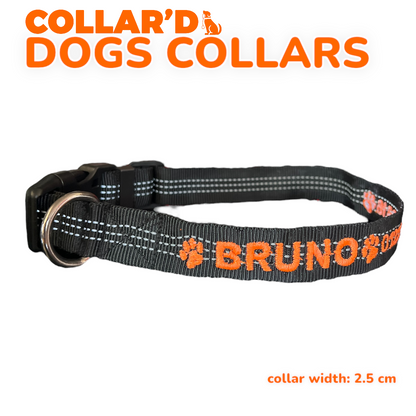 Reflective Dog Collars - 2.5 cm width