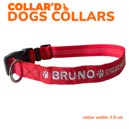 Reflective Dog Collars - 2.5 cm width