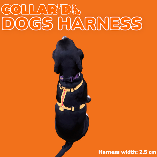 Personalised Dog Harness (Y-Shape)