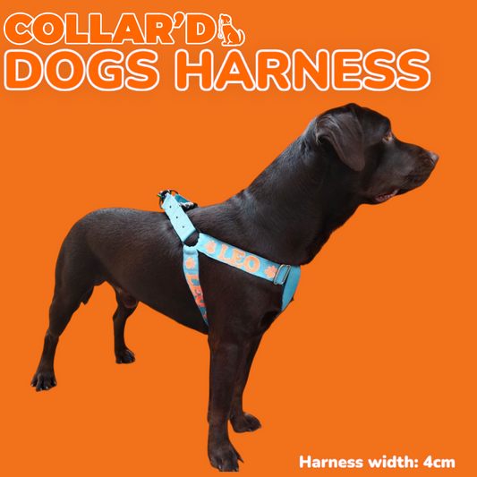 Dog Harness - 4 cm width (Double rings)