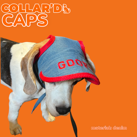 Dog Caps