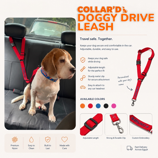 Doggy Drive Leash