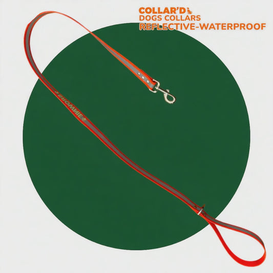 Dog Leash - Waterproof