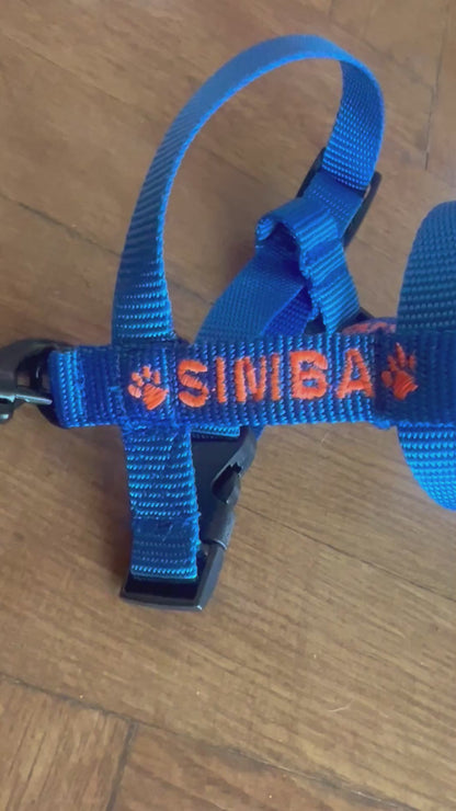 Small Dogs Harness 1.5 cm width (Y-shape)