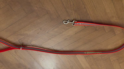Dog Leash - Waterproof