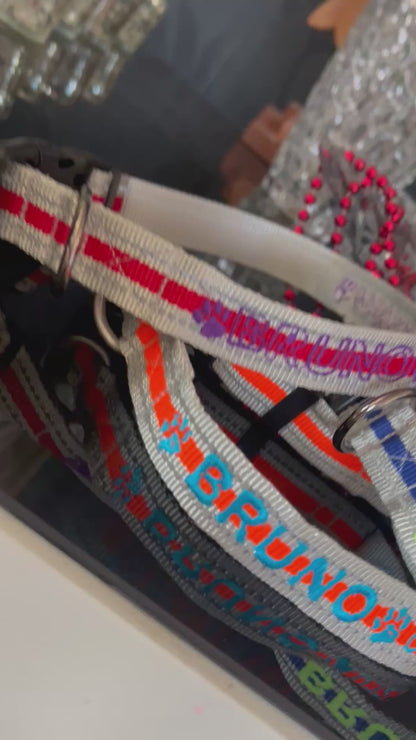 Reflective Dog Collars - 2.5 cm width