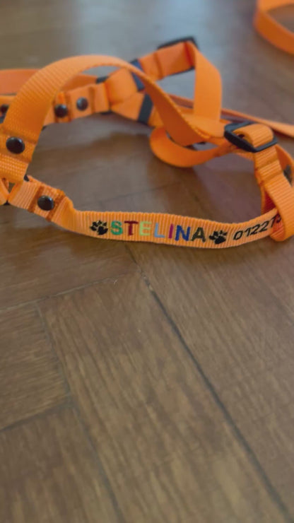 Small Dogs Harness 1.5 cm width (Y-shape)