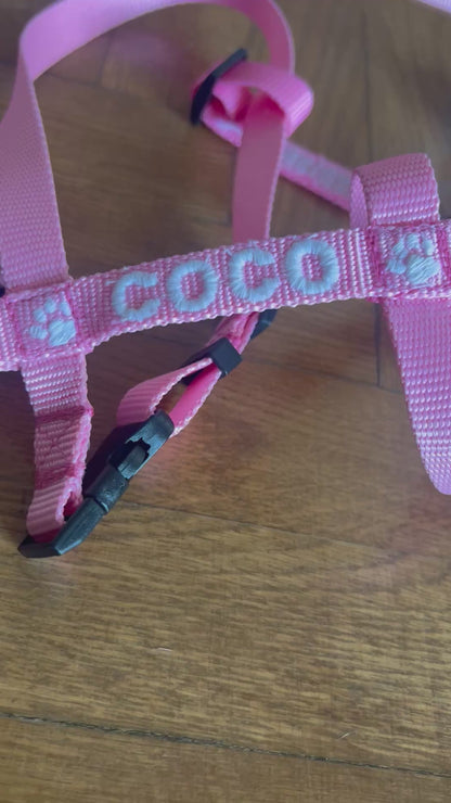 Small Dogs Harness 1.5 cm width (Y-shape)