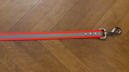 Dog Leash - Waterproof